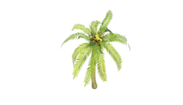 Palm Tree Trunk part 2 1/72