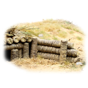 Palm defense 1/72